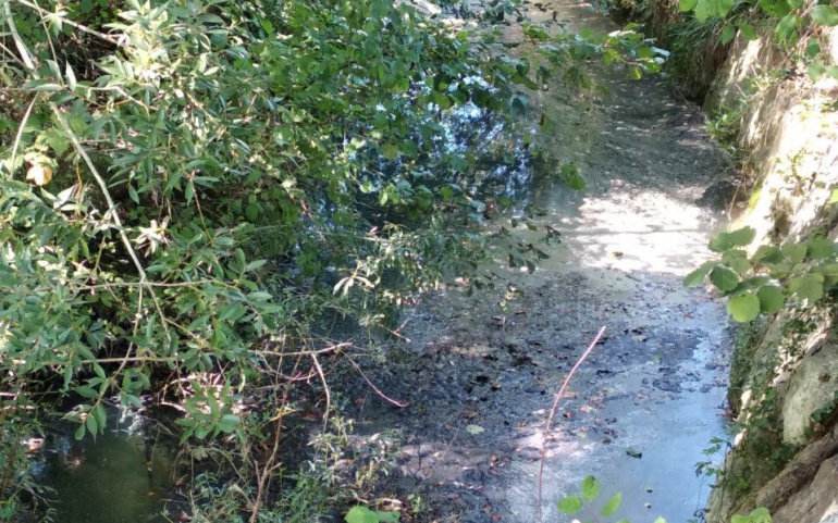 Conegliano – Denuncia alla procura inquinamento fiume Monticano.