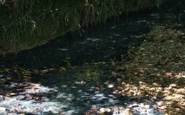 Conegliano – Sversamenti sul fiume Monticano